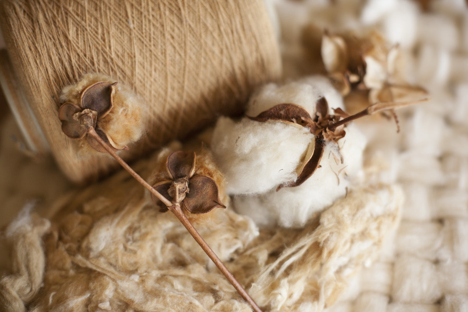 A guide through the most sustainable and eco-friendly fabrics